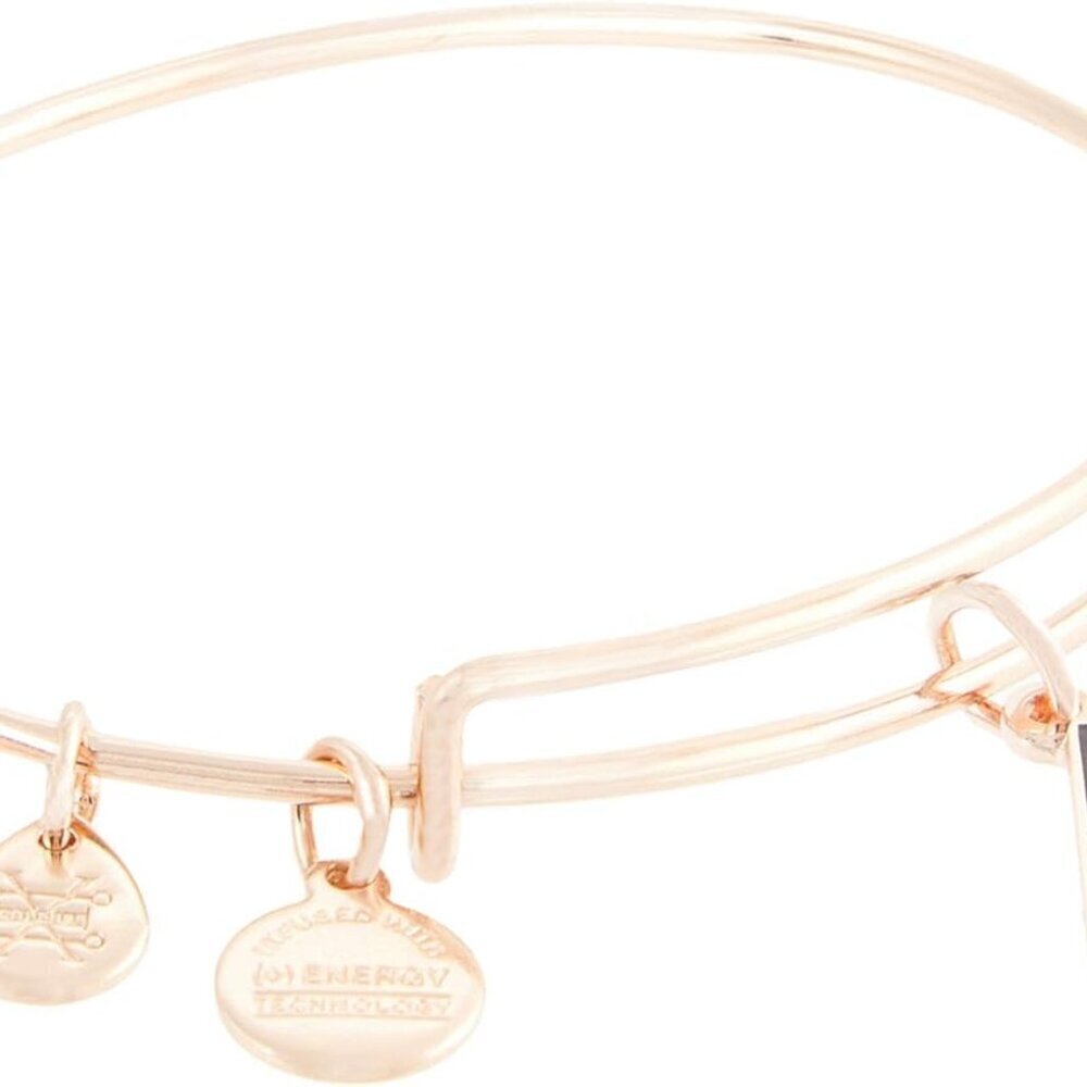 Color Infused Silver Bangle Bracelet Adjustable Soul Sisters Jewelry Gift